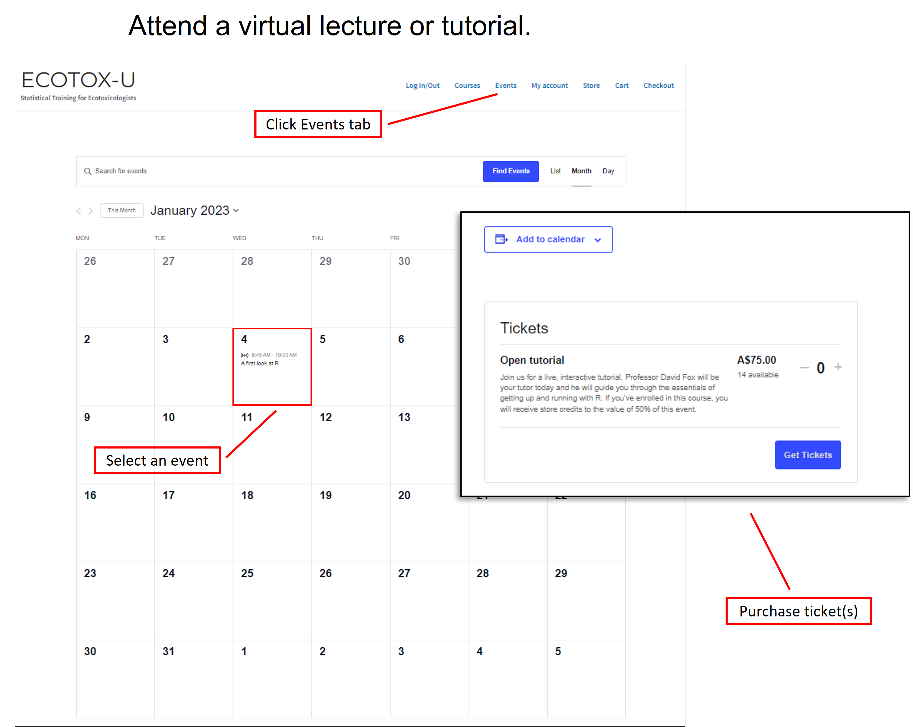 Virtual lectures